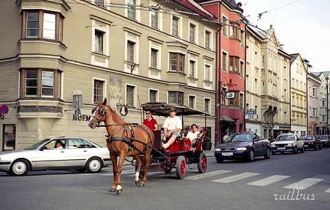 Innsbruck horse