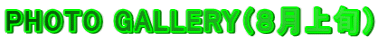 PHOTO GALLERYiW{j