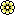BG-FLOWER