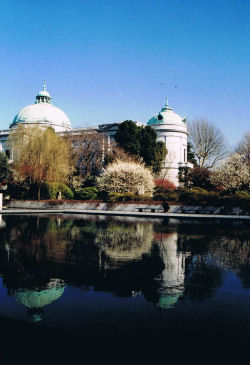 東京国立博物館