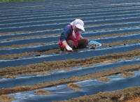 ���[�R���A�t��