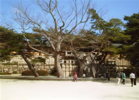 仏国寺の正面
