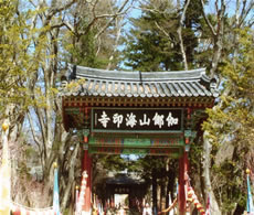 海印寺の門