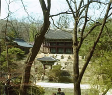 昌徳宮の庭園