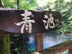 白神山地青池