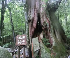 吙