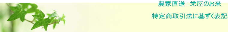 _ƒ@ĥ  菤@Ɋ\L 