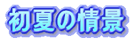 Ă̏i