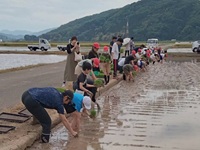 教育田写真