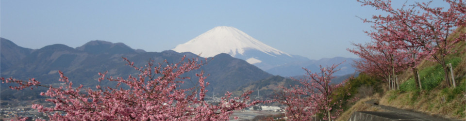 松田町