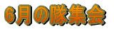 6̑W 