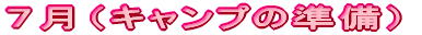 ViLv̏j
