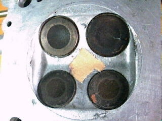 head_350