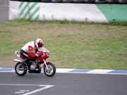 2005detai_005s