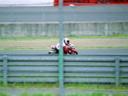2005detai_0071s