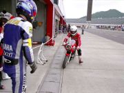 2005detai_016s