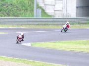 2005detai_029s