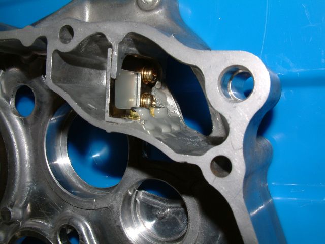 ape_case2