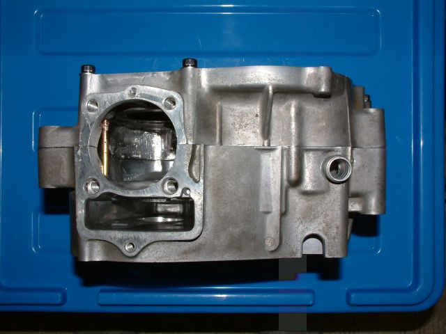 ape_case5