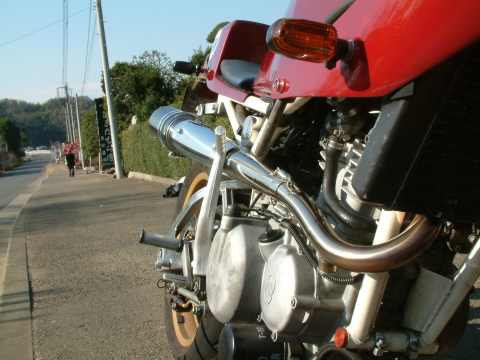 saturno_muff6