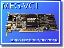 MEG-VC1