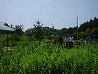 DSC00003-w200.jpg (7566 oCg)