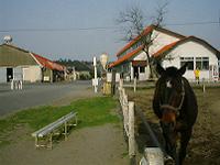 DSC00163-w200.jpg (7173 oCg)