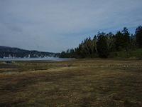 DSC00077-w200.jpg (4872 oCg)