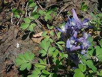 DSC00115-w200.jpg (12562 oCg)