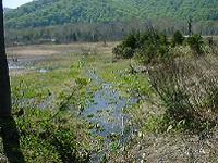 DSC00151-w200.jpg (10767 oCg)