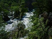 DSC00159-w200.jpg (10161 oCg)