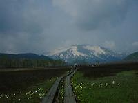 DSC00190-w200.jpg (4351 oCg)