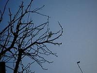 DSC00195-w200.jpg (6994 oCg)