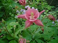 DSC00363-w200.jpg (9142 oCg)