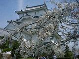 DSC00011-w160.jpg (7647 oCg)