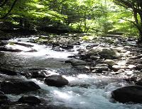 ���m��N��2