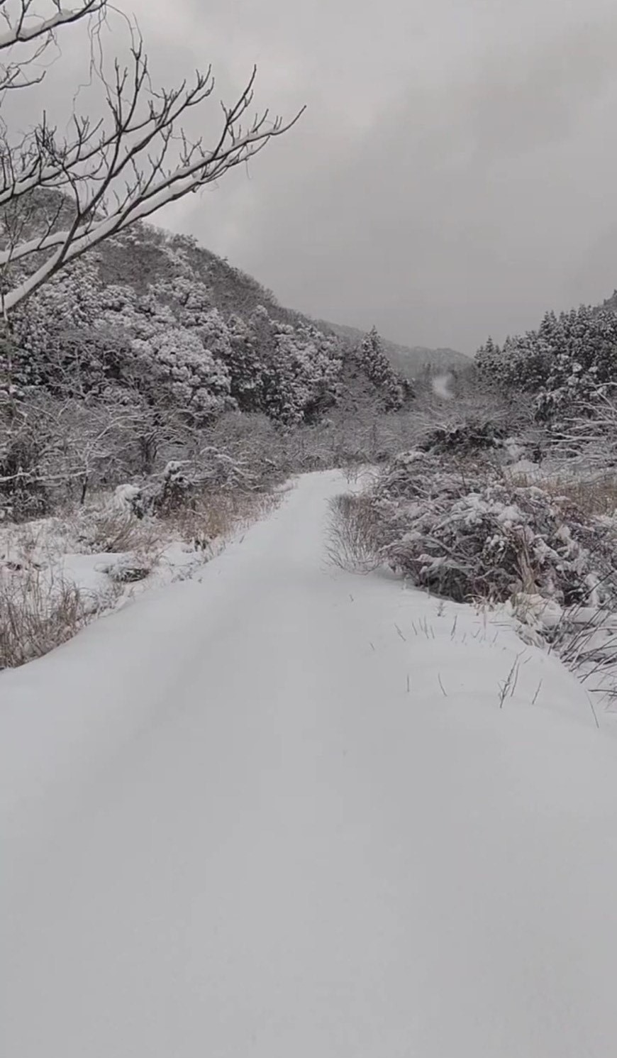 雪が積もった山間部の道路写真