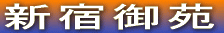 Vh䉑