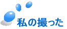 ̎B