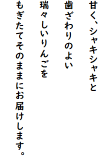 ÂAVLVL
̂悢
X񂲂
Ă̂܂܂ɂ͂܂B