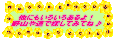 ���ɂ��F�X�����I�R�⓹�ŒT���Ă݂Ă�