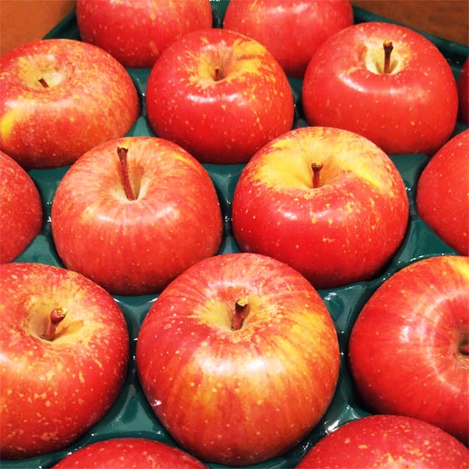 りんごの商品画像