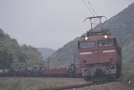 EF81