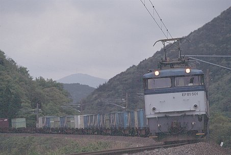 EF81-501