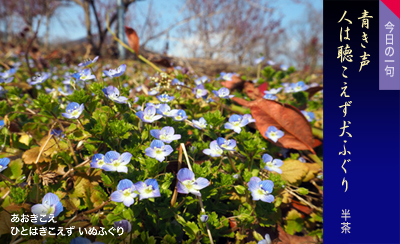 ���������� �ЂƂ͂������� ���ʂӂ���