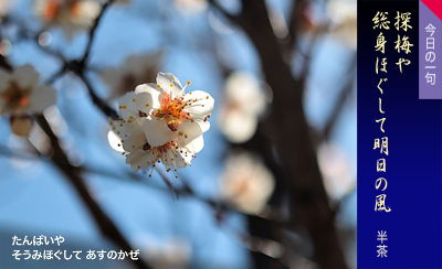 ���������� �Ђ��₫��� �q���V���X