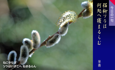 �˂���Ȃ� �\���͂������� �˂܂���