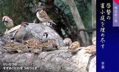 �������� �����߂��ɂ�� ���߂���