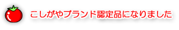こしがやブランド認定品に