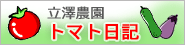 トマト日記